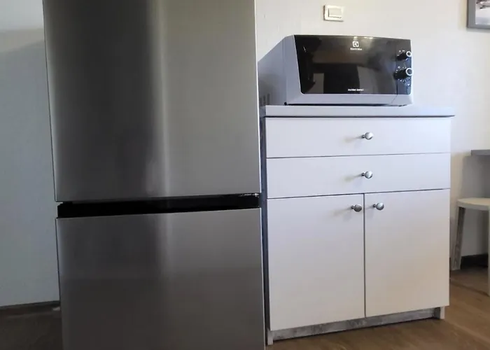 Quiet &renovated Апартаменты Клайпеда